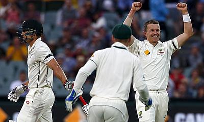 Peter Siddle reaches 200 wickets landmark in Tests